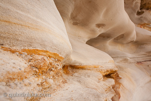 Detail of Bondi Rocks #10 Sydney, Australia