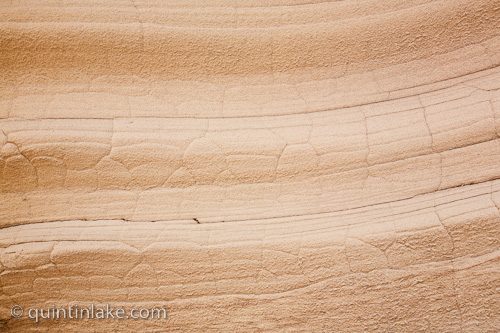 Detail of Bondi Rocks #14 Sydney, Australia