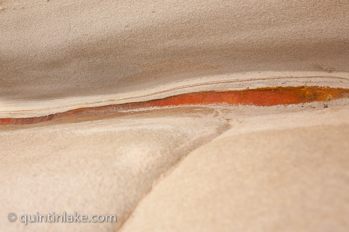 Detail of Bondi Rocks #17 Sydney, Australia