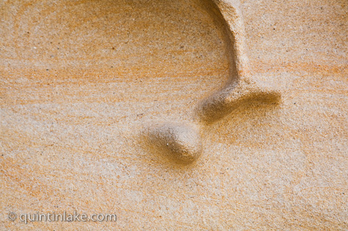 Detail of Bondi Rocks #19 Sydney, Australia