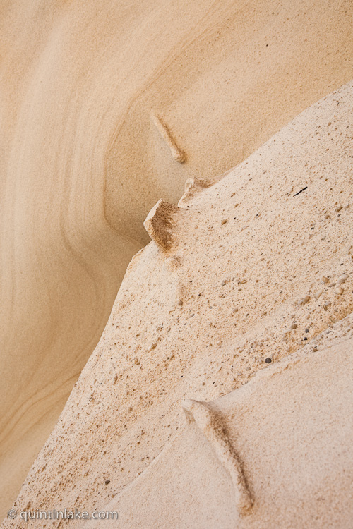 Detail of Bondi Rocks #7 Sydney, Australia