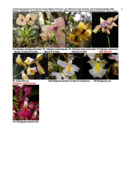 Peruvian Orchid Inventory Oxford Expedition 2008 8 of 8