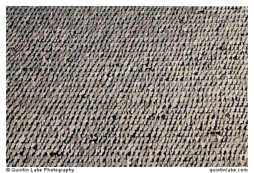 Dimitrie Gusti National Village Museum (Muzeul Satului) in Bucha