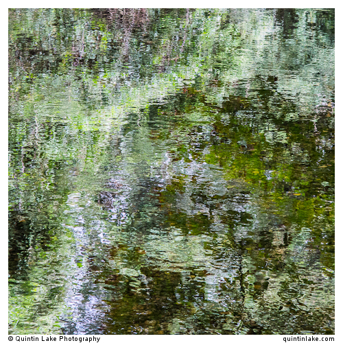 Thames Waters IV 5 Miles downstream (near Ashton Keynes)