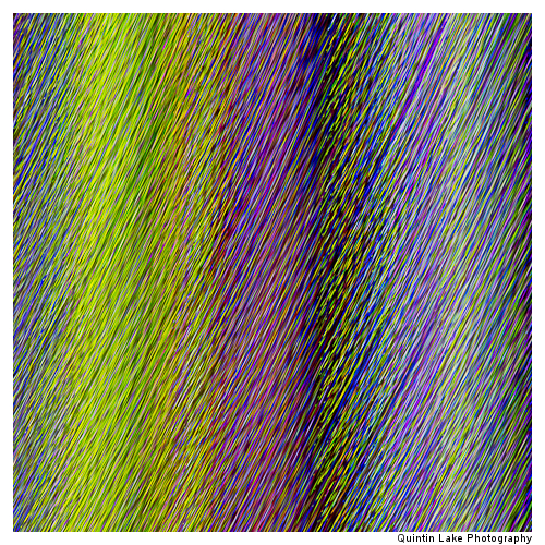 Debenhams, Oxford Street I