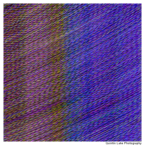 Debenhams, Oxford Street II