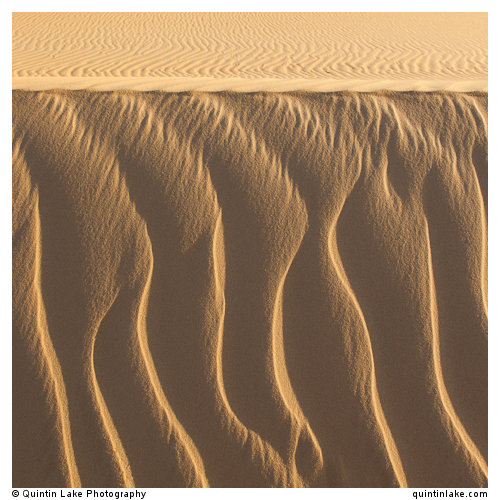 Sahara Sands I (Western Desert, Egypt)