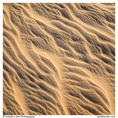 Sahara Sands III (Western Desert, Egypt)