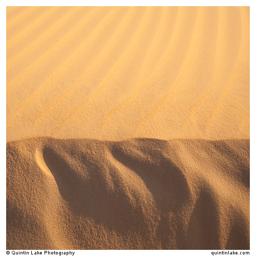 Sahara Sands V (Western Desert, Egypt)