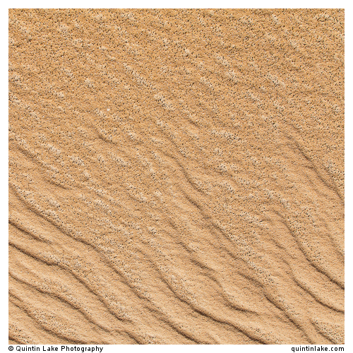 Sahara Sands VI (Western Desert, Egypt)