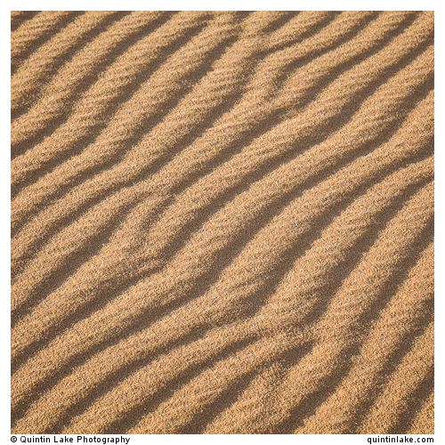 Sahara Sands VII (Western Desert, Egypt)