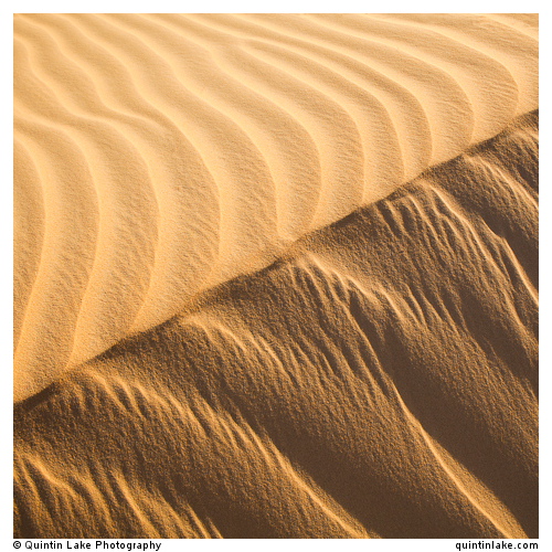 Sahara Sands IX (Western Desert, Egypt)