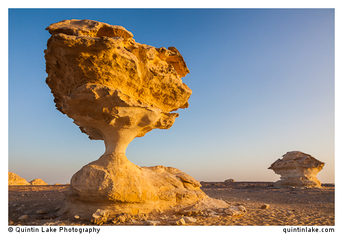 Aish el-Ghorab "The Mushrooms", chalk sculptures, Sahara Beida (White Desert), Egypt