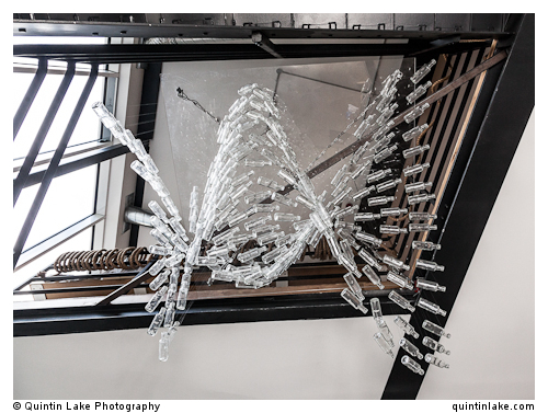 Analog Folk fit-out and interiors by Design Haus Liberty, London