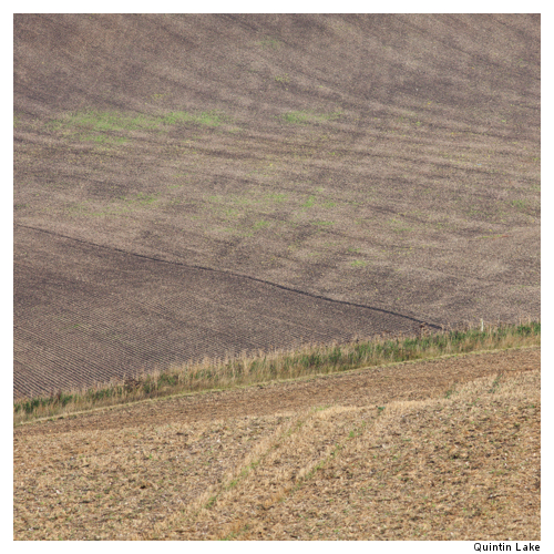 Ridgeway VII Wiltshire