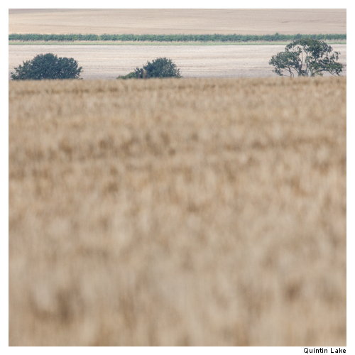 Ridgeway IX Wiltshire