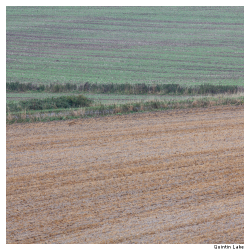 Ridgeway XI, Wiltshire