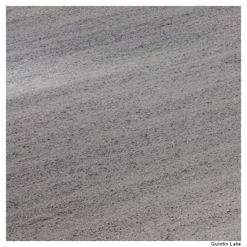 Ridgeway XVII, Buckinghamshire