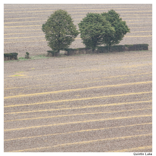 Ridgeway XIX, Chilterns