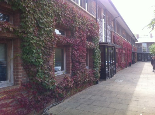 BEFORE: Amgen, Milton Park