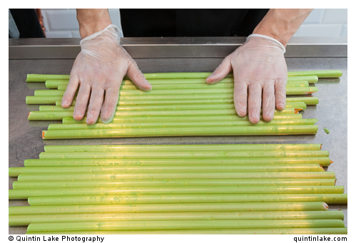 Spun Candy, Covent Garden