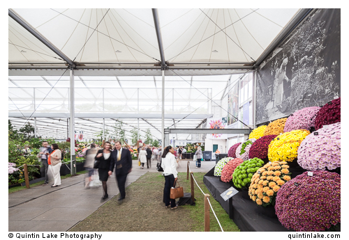 The Great Pavilion by De Boer. RHS Chelsea Flower Show,  2014