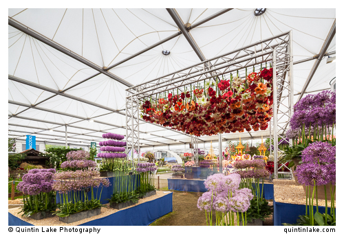 The Great Pavilion by De Boer. RHS Chelsea Flower Show,  2014