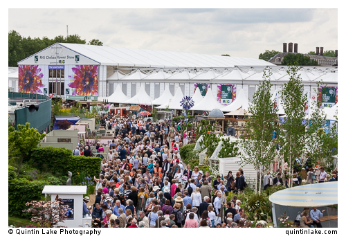 The Great Pavilion by De Boer. RHS Chelsea Flower Show,  2014