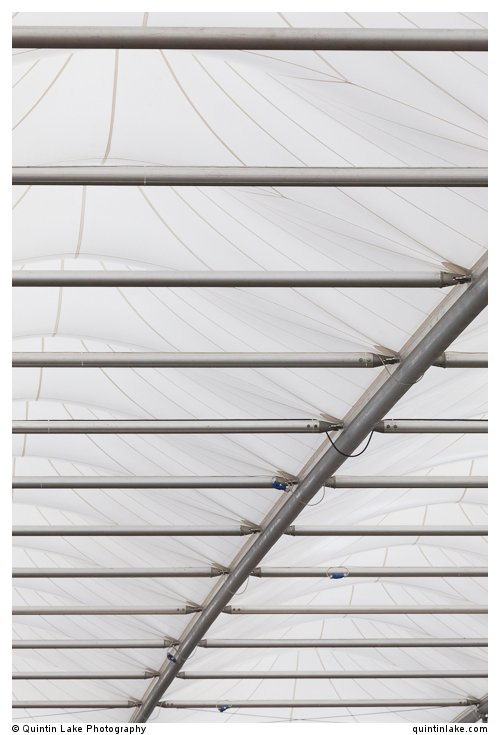 The Great Pavilion by De Boer. RHS Chelsea Flower Show,  2014