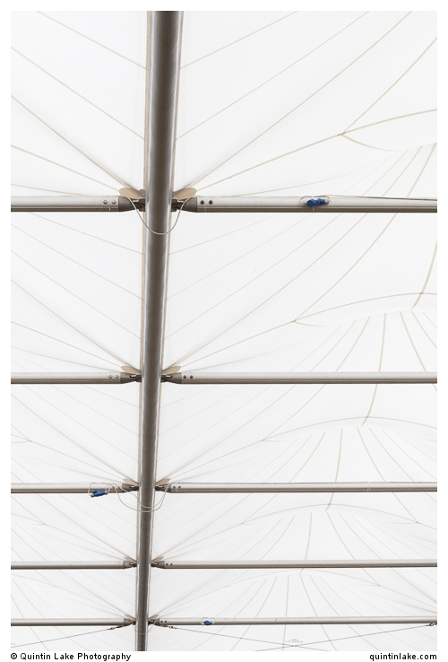 The Great Pavilion by De Boer. RHS Chelsea Flower Show,  2014