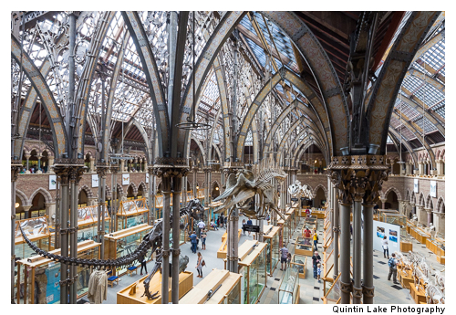 Interior of The Oxford University Museum of Natural History