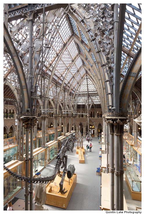Interior of The Oxford University Museum of Natural History