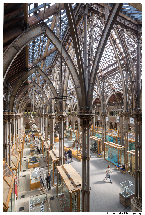 Interior of The Oxford University Museum of Natural History