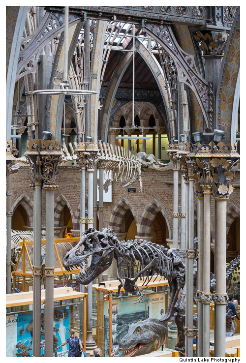 Interior of The Oxford University Museum of Natural History