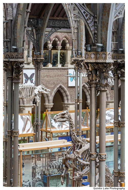 Interior of The Oxford University Museum of Natural History