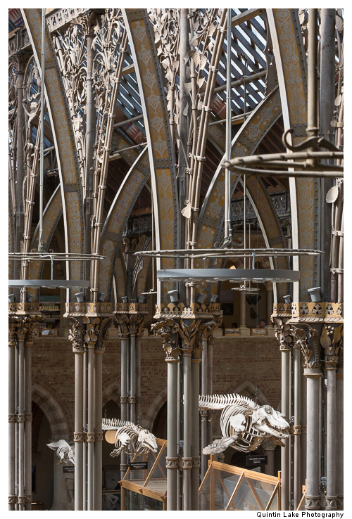 Interior of The Oxford University Museum of Natural History