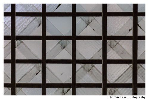 Interior of The Oxford University Museum of Natural History