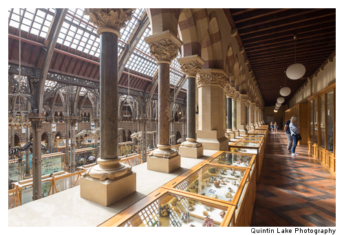 Interior of The Oxford University Museum of Natural History
