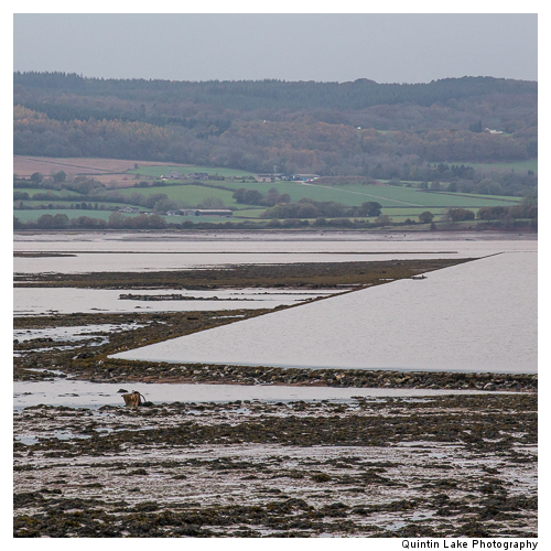 River Severn Near Oldbury-On Severn