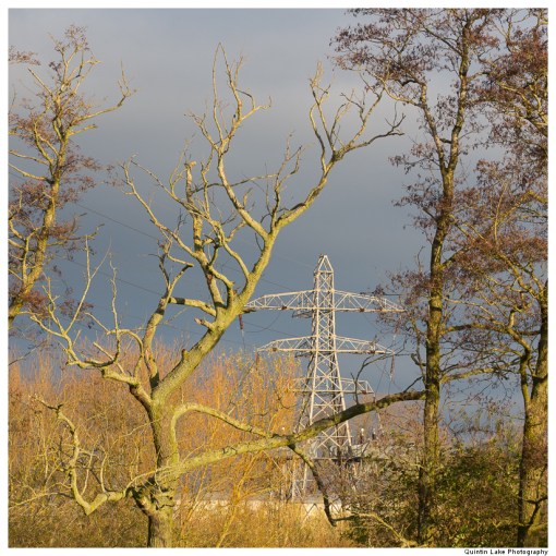 River Severn between Gloucester and Upper Framilode