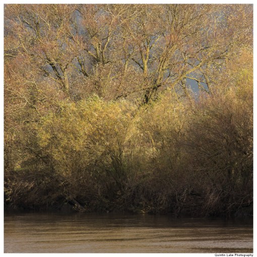 River Severn between Gloucester and Upper Framilode