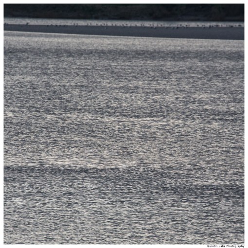 River Severn between Gloucester and Upper Framilode