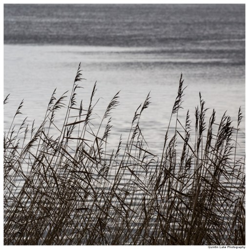 River Severn between Gloucester and Upper Framilode