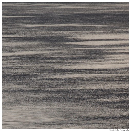 River Severn between Gloucester and Upper Framilode