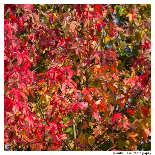 Severn Way between Tewksbury to Gloucester