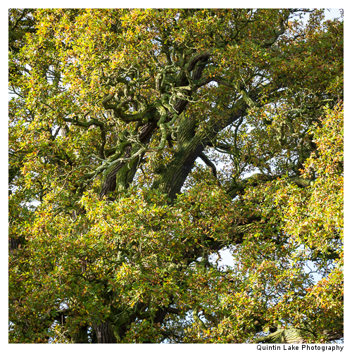 Severn Way between Tewksbury to Gloucester