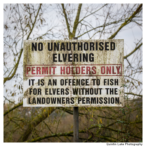 Severn Way between Tewksbury to Gloucester