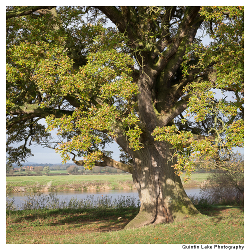 Severn Way between Tewksbury to Gloucester
