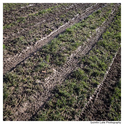 Severn Way between Tewksbury to Gloucester