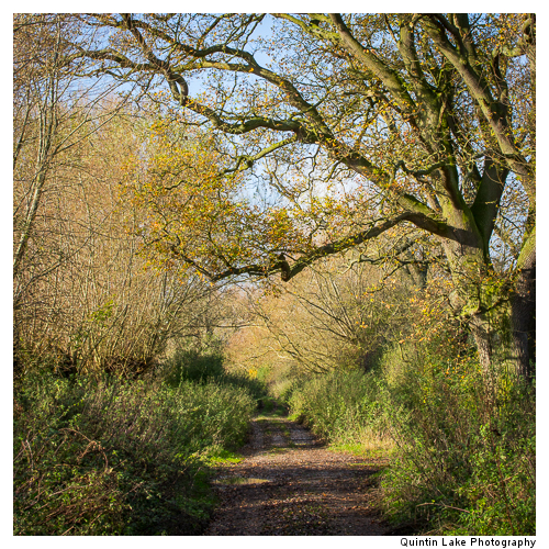 Severn Way between Tewksbury to Gloucester